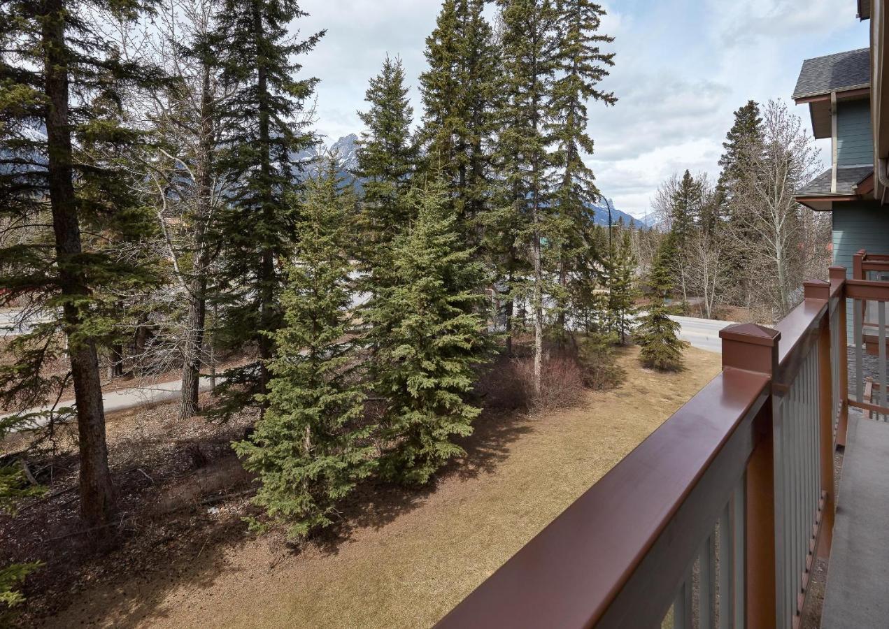 Newly Renovated Grizzly Lodge, Spacious 3Br 2Ba With Open Pool, Hot Tub Канмор Екстериор снимка