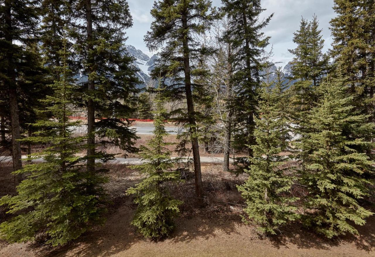 Newly Renovated Grizzly Lodge, Spacious 3Br 2Ba With Open Pool, Hot Tub Канмор Екстериор снимка
